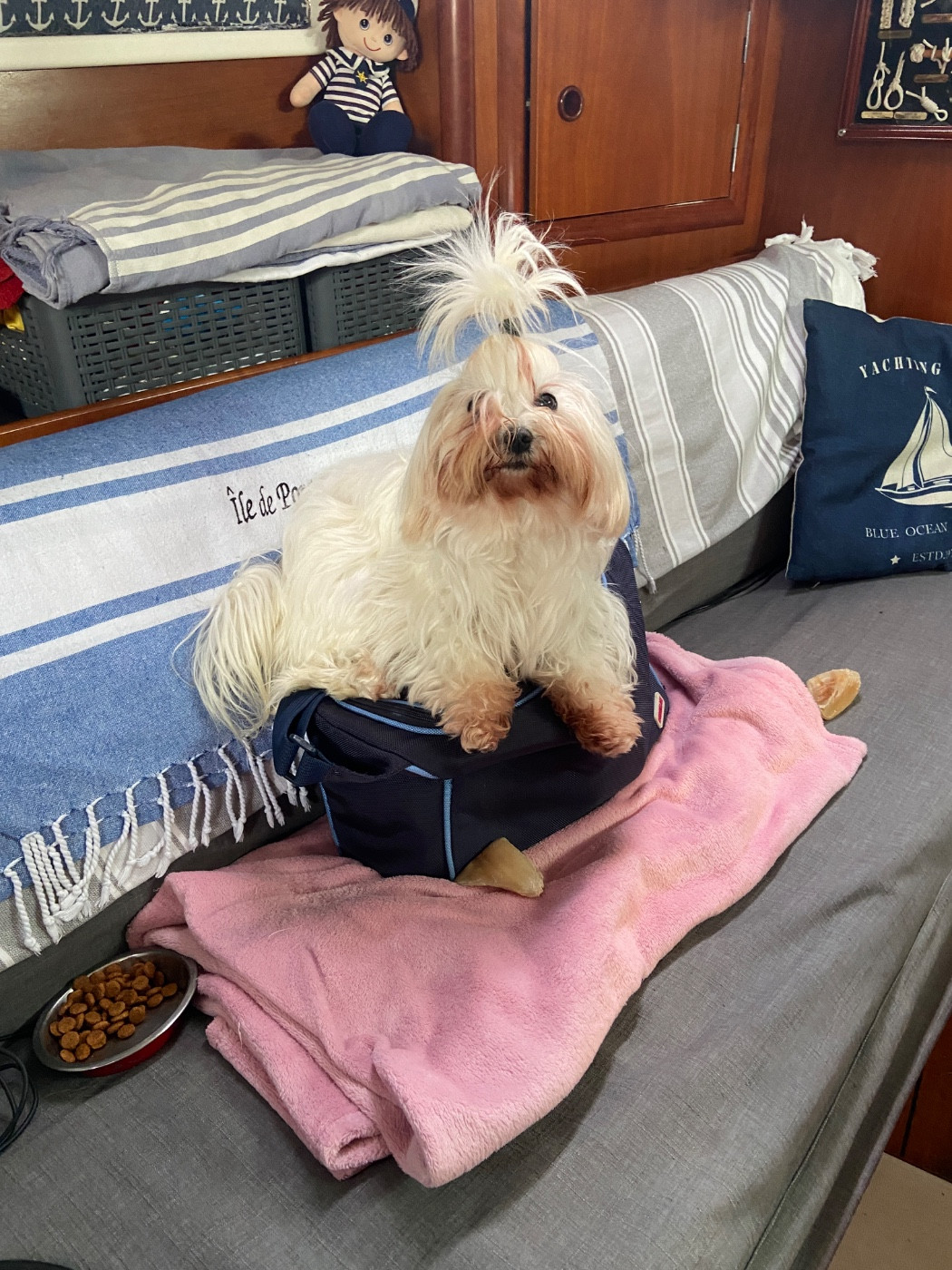 TESS DE L ADORÉE PENELOPPE De Chateau Belmont