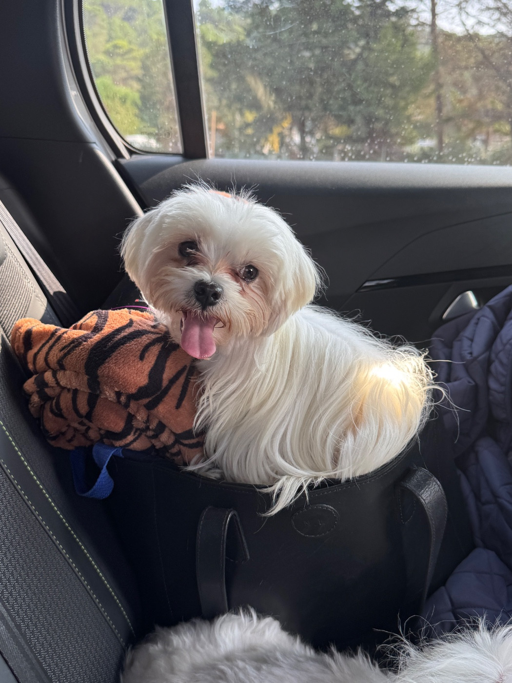 Scott DUPARC De Chateau Belmont