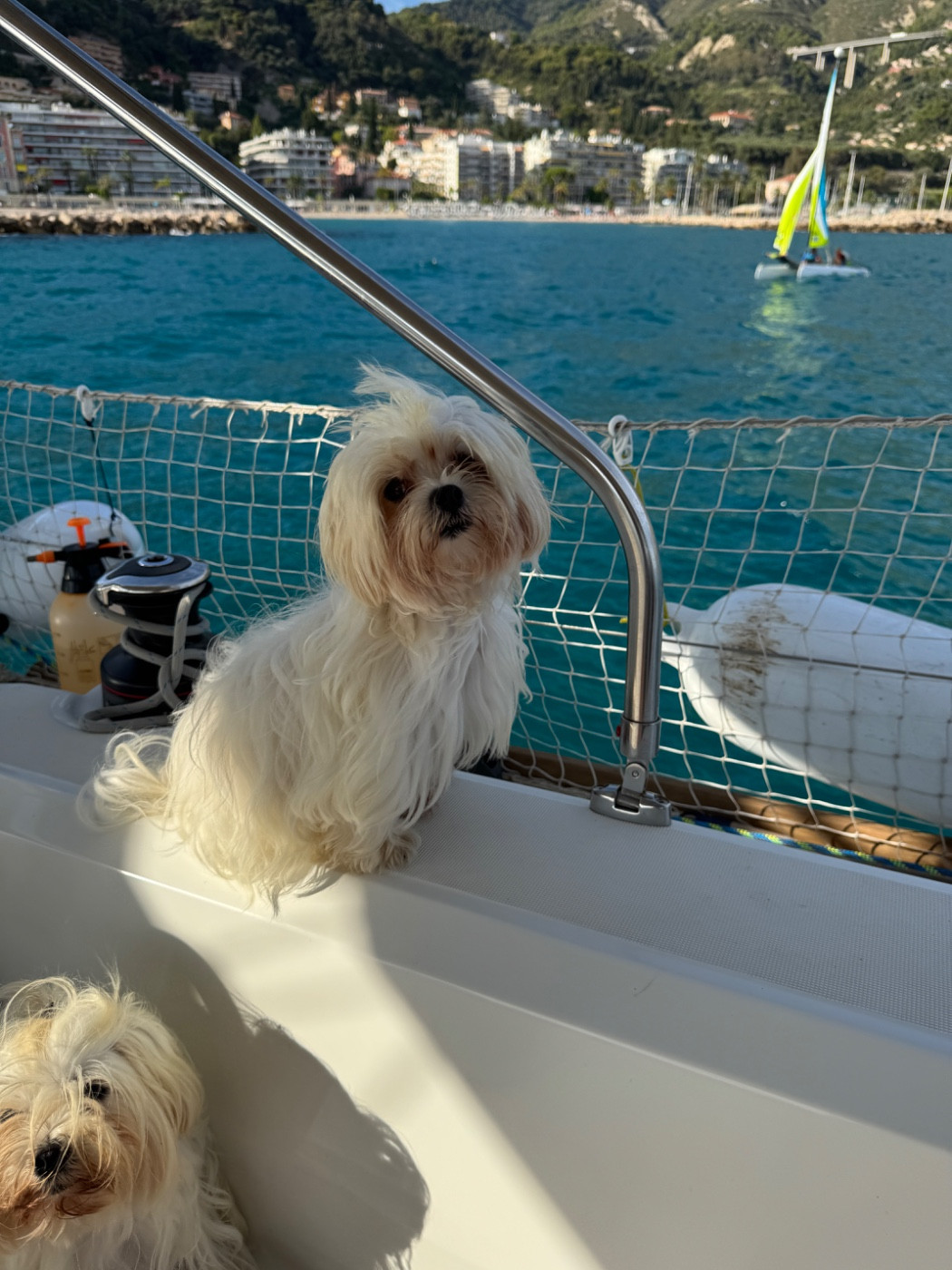 Scott duparc De Chateau Belmont